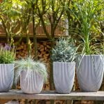 capi nature groove potten in verschillende formaten