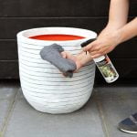 rib bloempot die wordt behandeld met nano protector