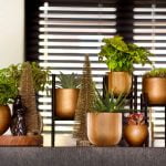 Capi groove gold en capi retro bloempotten gecombineerd in een sfeerbeeld