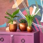 capi retro bloempotten gecombineerd in een gekleurd interieur