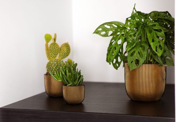 interieur sfeerbeeld capi mix and match goud