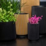 capi groove black and gold - sfeerbeeld met een mix van bloempotten in de kleuren goud en zwart