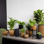 interieur sfeerbeeld capi mix and match goud en zwart