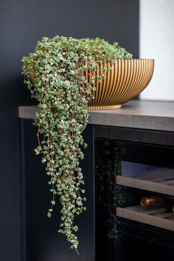 Plantenschaal binnen bloempot van collectie Capi groove goud