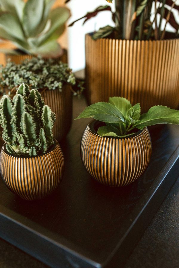 interieur sfeerbeeld capi mix and match goud