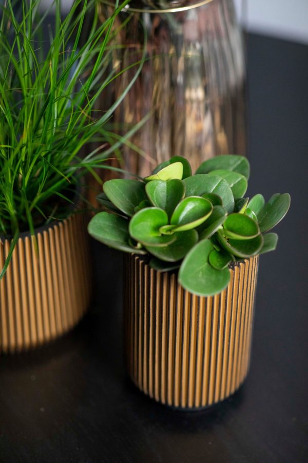 sfeerbeeld van een capi groove goud bloempot met een plantje