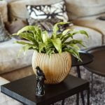 Capi groove black and gold in een interieur