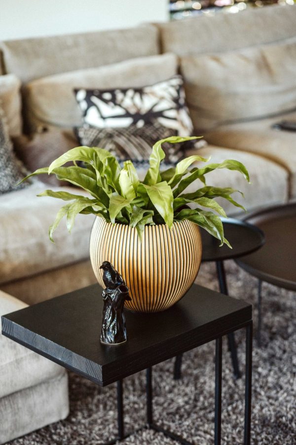 Capi groove black and gold in een interieur
