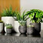 capi nature rib bloempotten