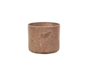 Oak