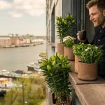 Groen balkon met balkonbakken