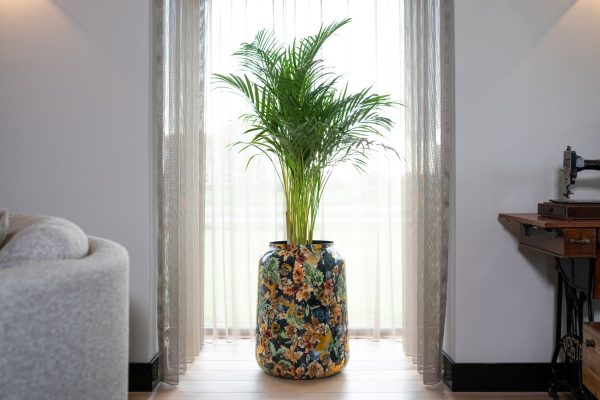 Grote bloempot voor binnen die in de woonkamer staat met een tropische plant erin