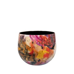 Pot Sweet magnolia - 15x12