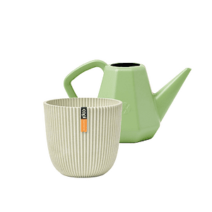 Oud groen + Zaagsel Beige