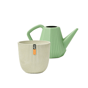 Cadeauset Doppio Groove 2L & Made With Groove