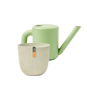 Oud groen + Zaagsel Beige