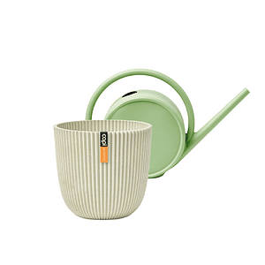 Oud groen + Zaagsel Beige